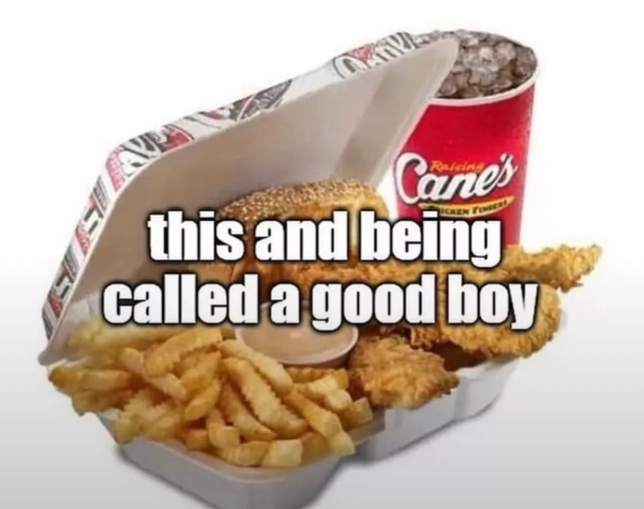 I’m a caniac (for you) posted by DazzlingInterest5197