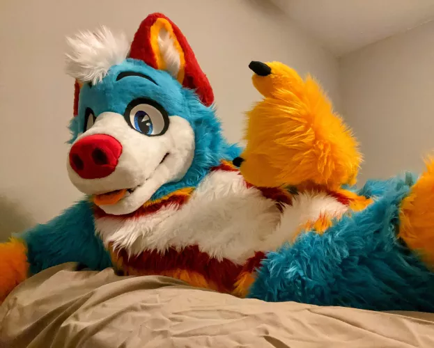 Life is awesome when you’re a big blue husky 😊 by FluffyHusky88