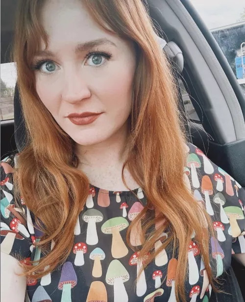 Mushrooms  by Lonkane