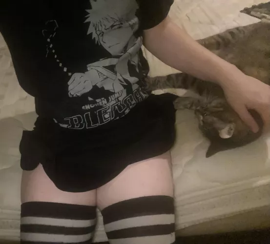 My cat is the cutest  by Sorry-Woodpecker4227