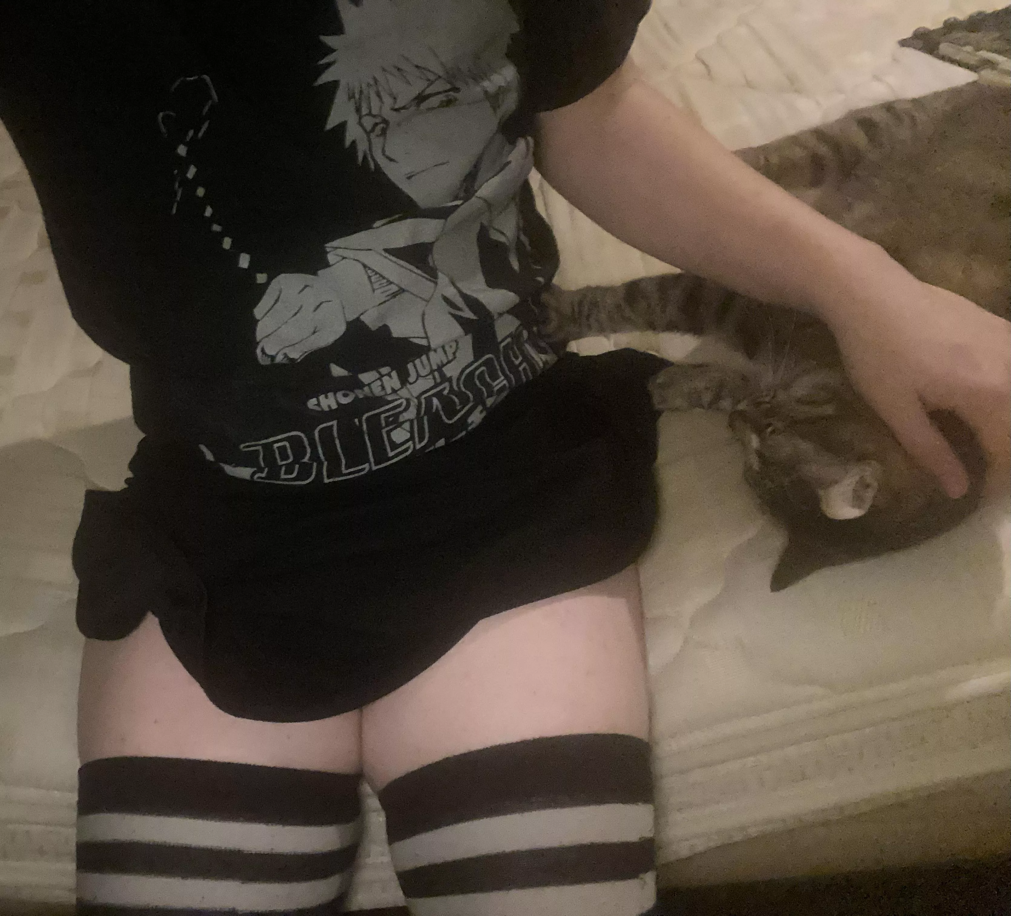 My cat is the cutest  posted by Sorry-Woodpecker4227