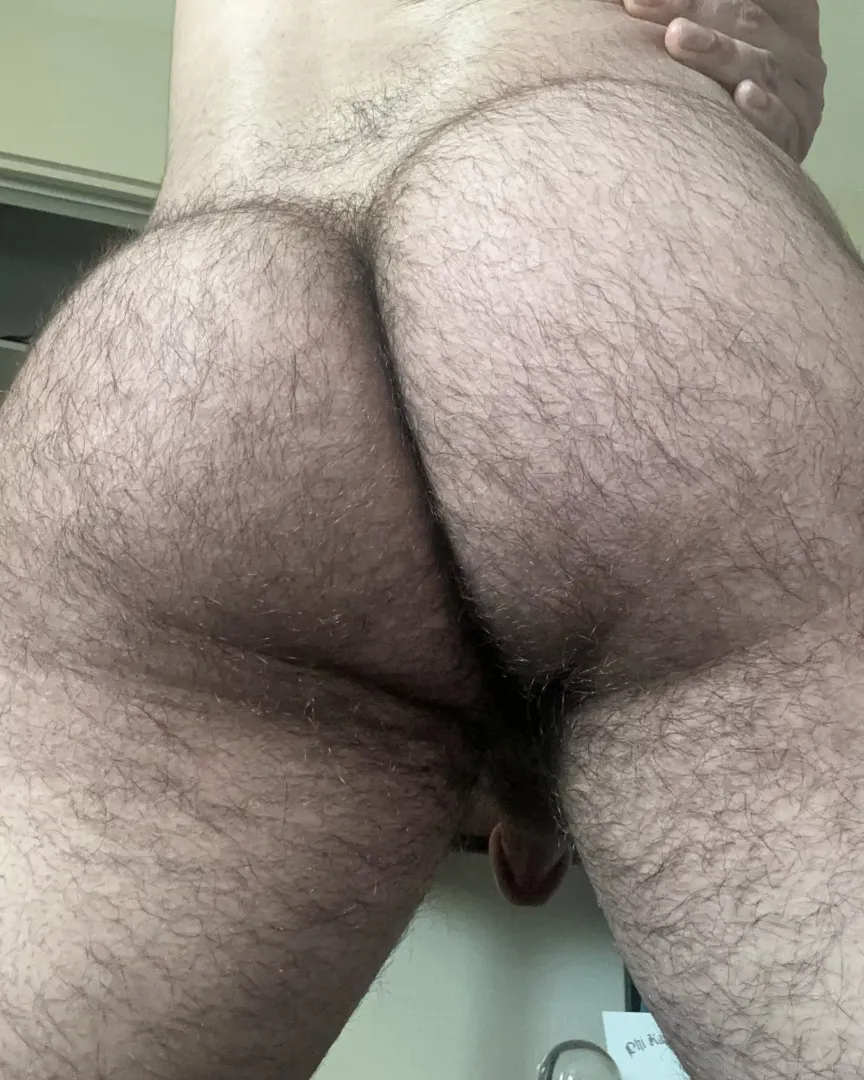 Needing a big bear to breed me by little_loserboy