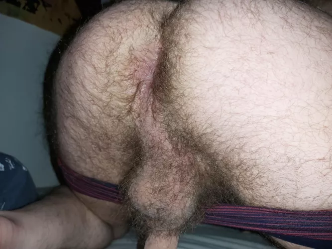 The hairier the better, right? by AlternativeSame1558