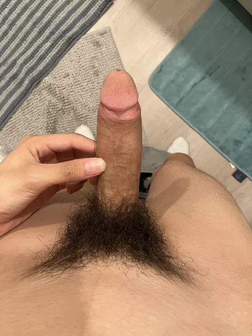 thick hairy latino cock just for u by gay4bigandy
