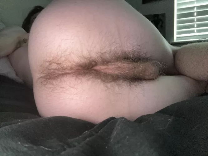 this ass needs filling by NoWerewolf9816