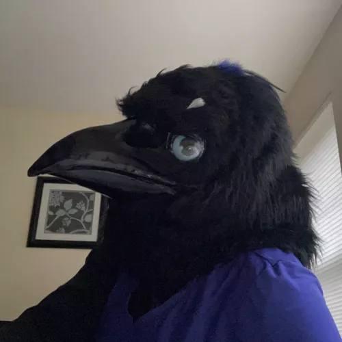 This clever bird is going to be attending Olympic collectibles expo this Saturday! :D by TheCreepy_Corvid