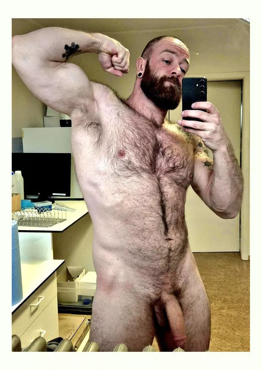 Tuesday gibes 🐻 posted by Witty-Wolf-2116