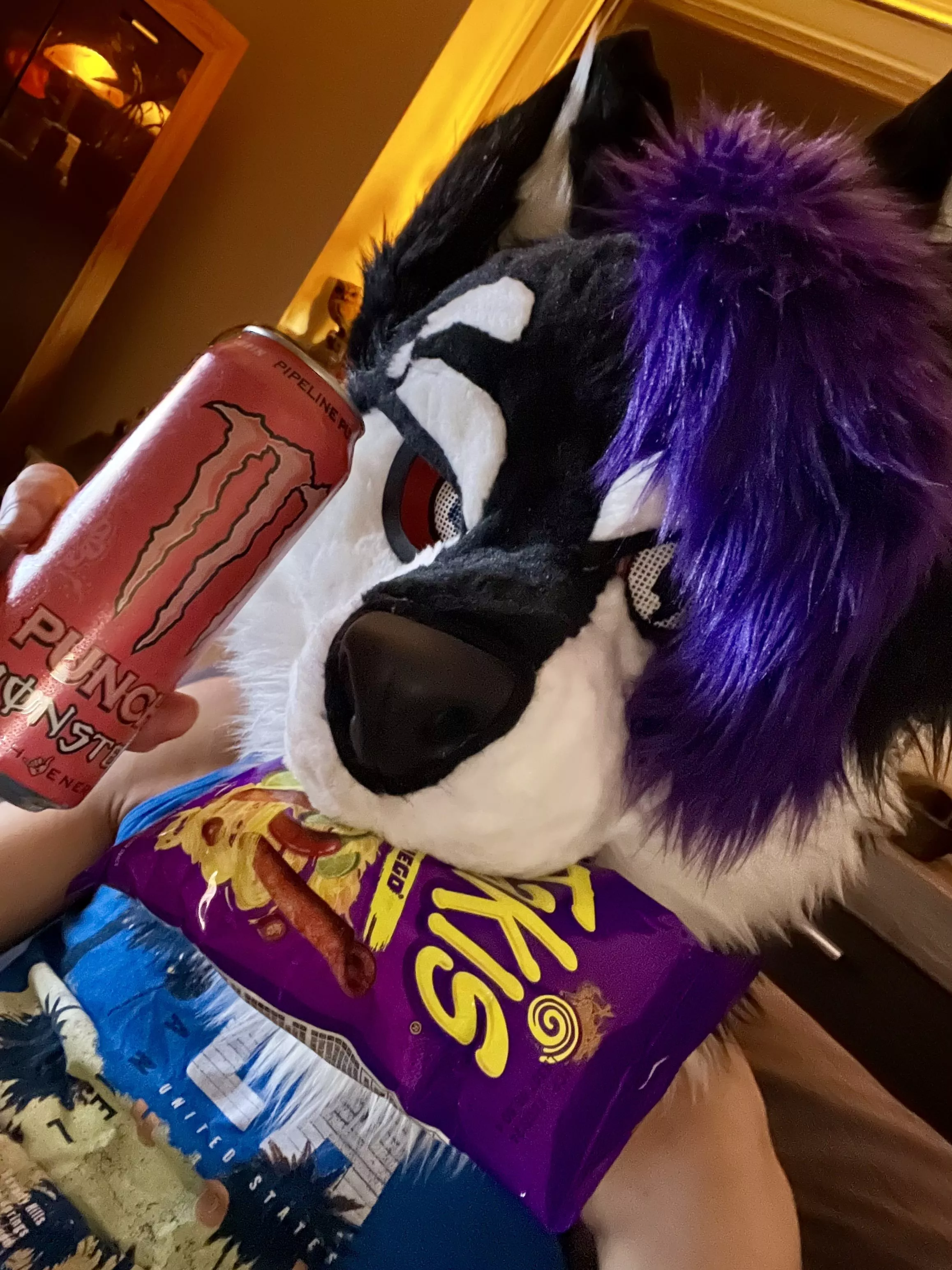 What about you, me, this bag of Takis and this can of Monster and we watch Clarksons Farm together?~ Happy FursuitFriday ! posted by LordLightsaber621