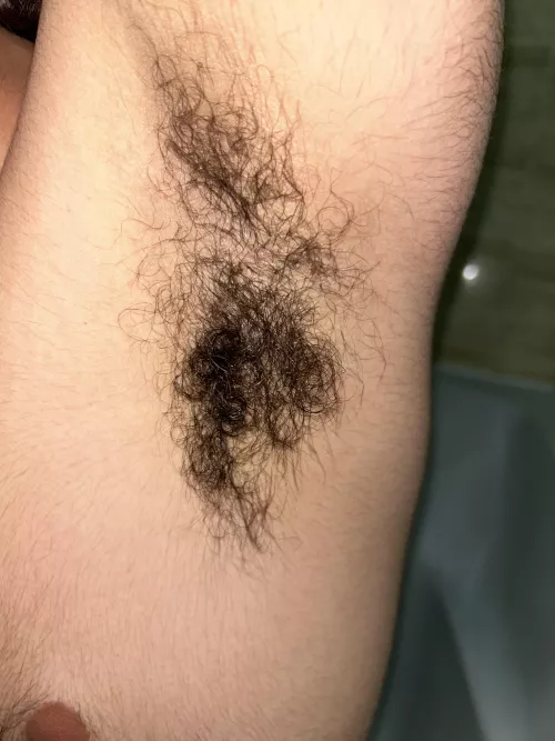 You liked them last time so here's more by joshwhite3721