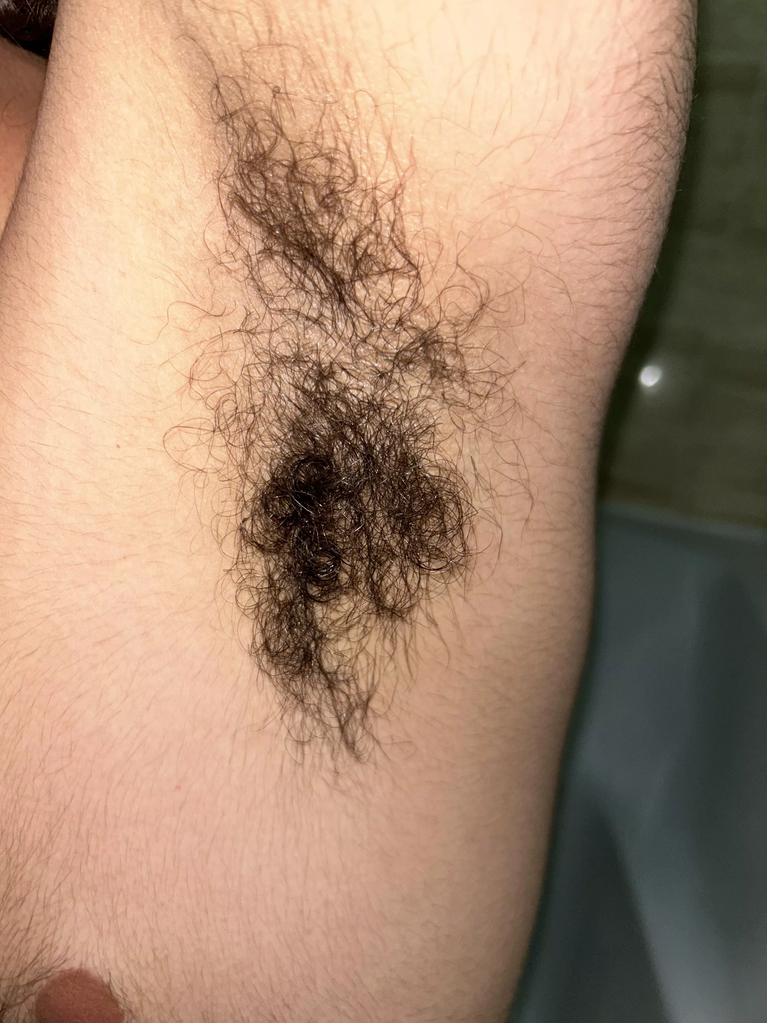 You liked them last time so here's more posted by joshwhite3721