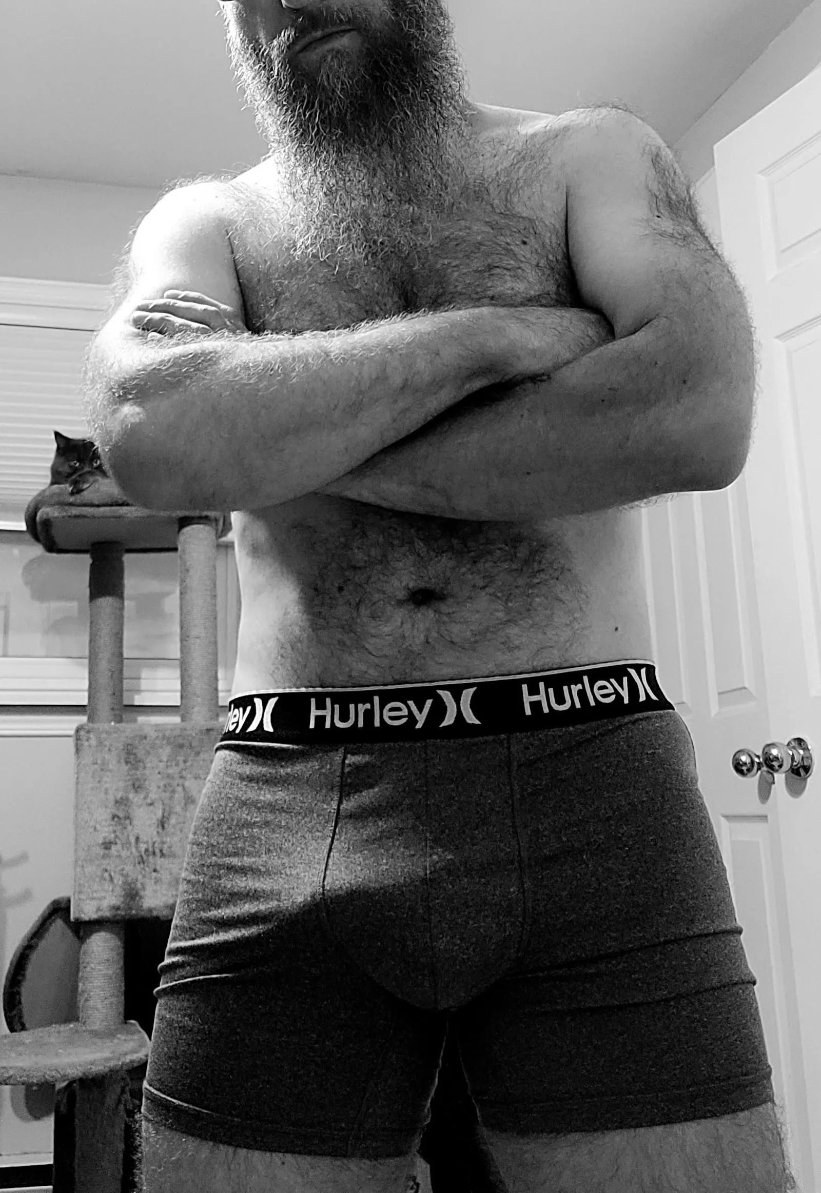 A little bit soft. A little bit furry. posted by BreakingBrats79