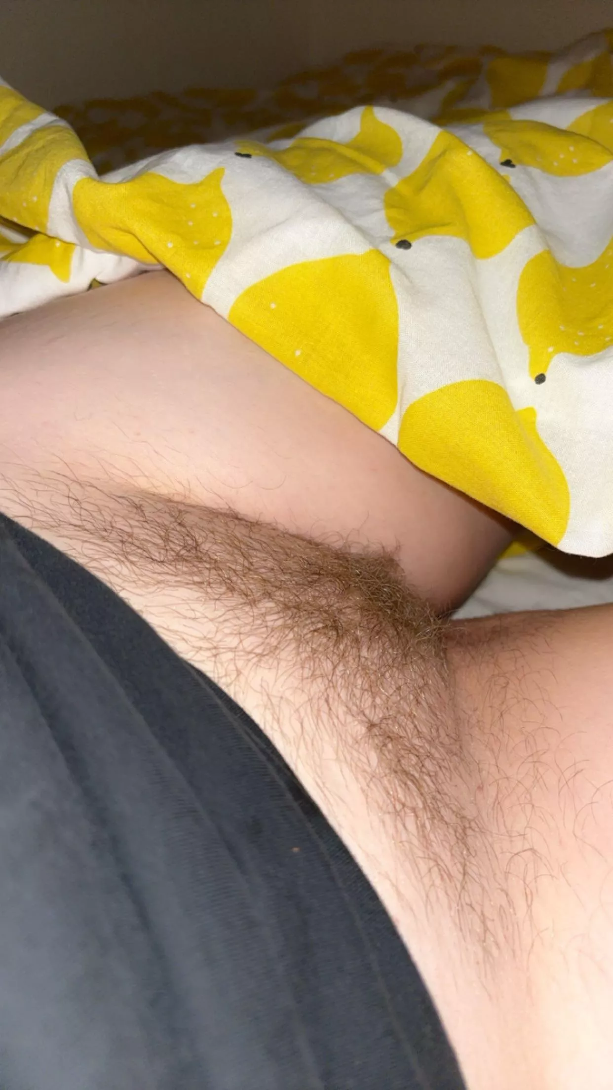 A little ginger bush 🦊 posted by Tvaergaaende