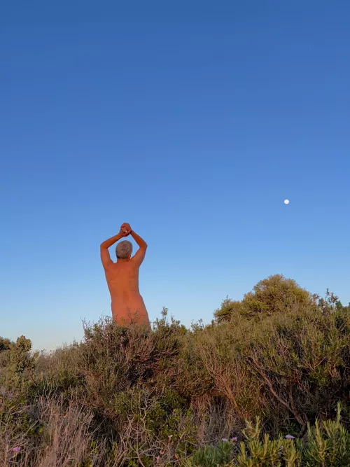 A twilight moon… by neomysfodienss