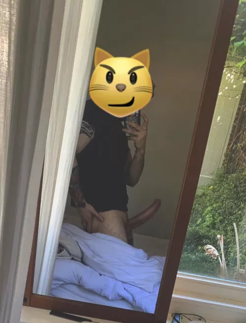 Can you rate me please? by GovernmentLost5415