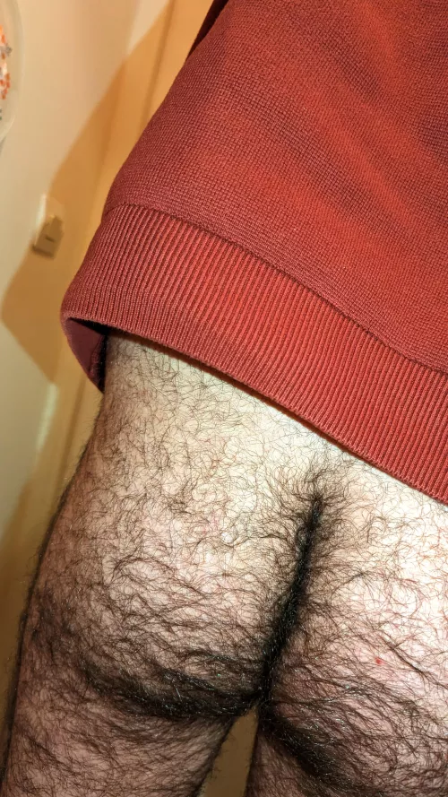 Hairy Potter by Anxious_Ananas_643