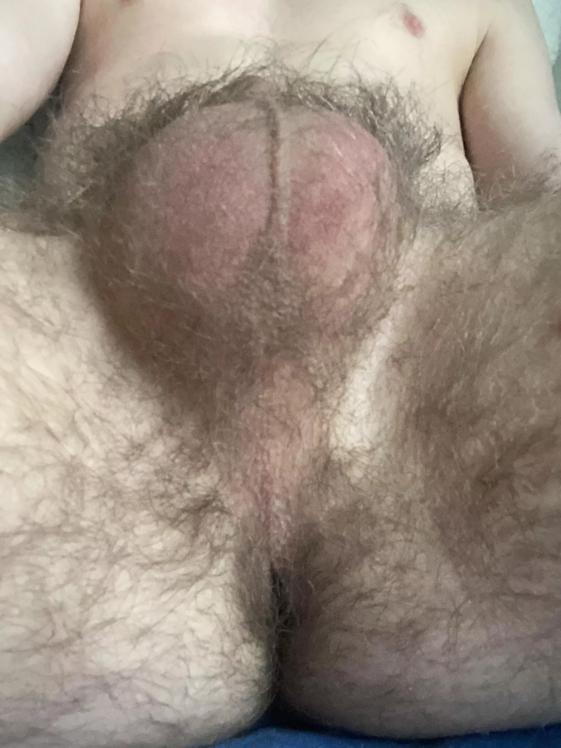 I hate shaving posted by Outside-Landscape712