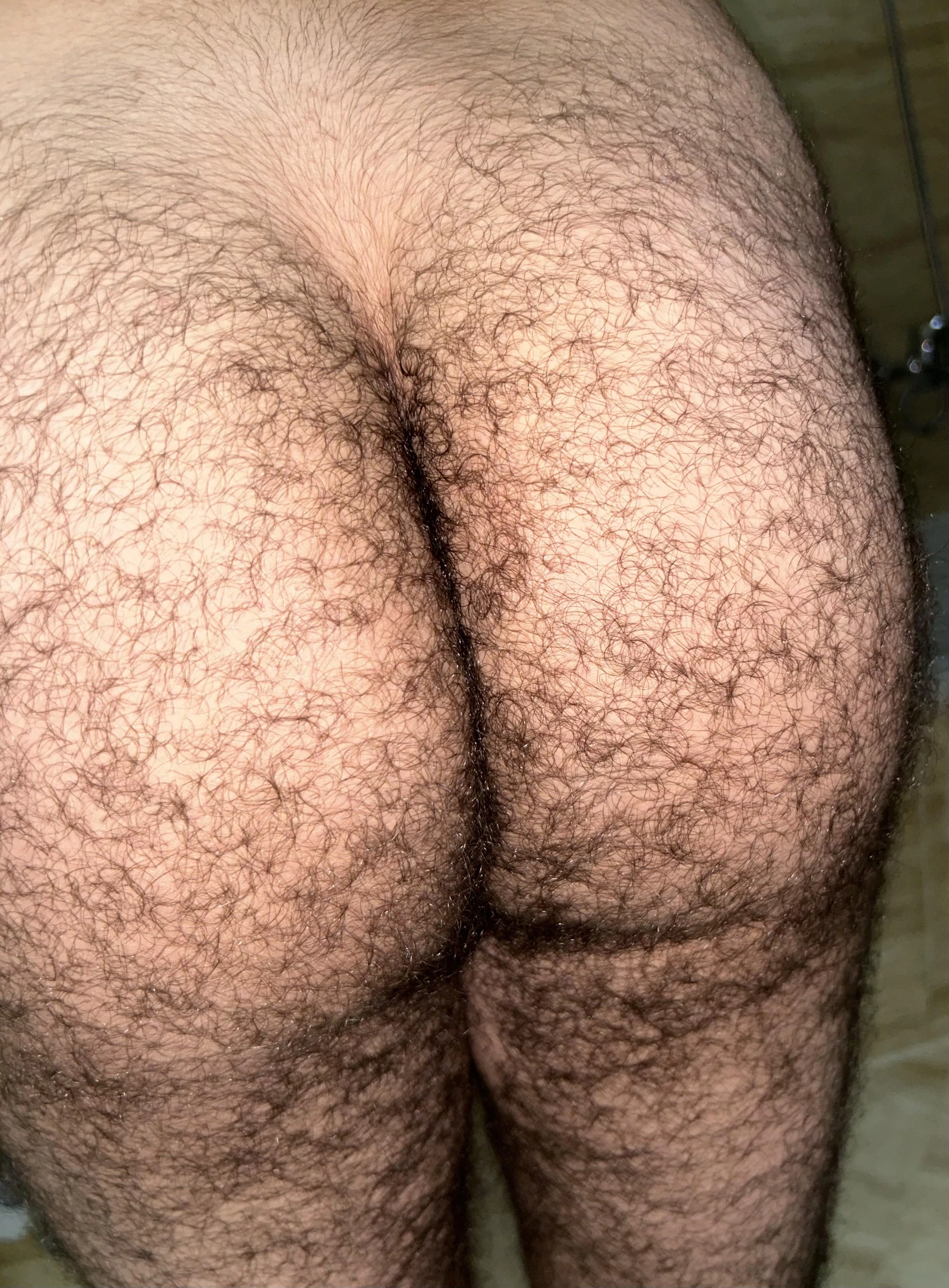 Is this hairy enough for you? posted by joshwhite3721