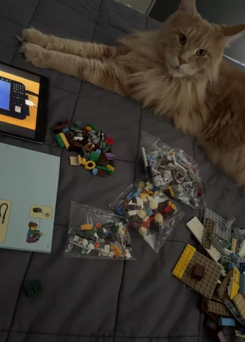 My kinda afternoon ✨ by michelberg99