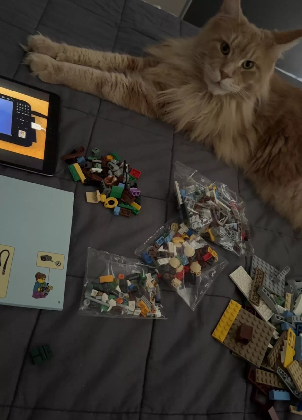 My kinda afternoon ✨ posted by michelberg99