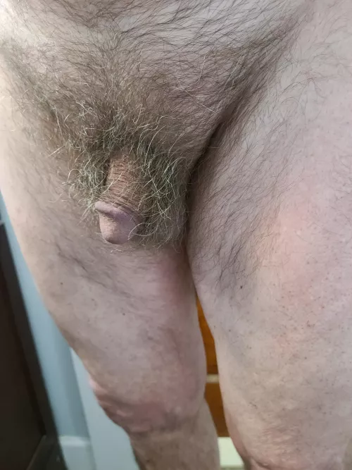 Small softie  by poppajcg