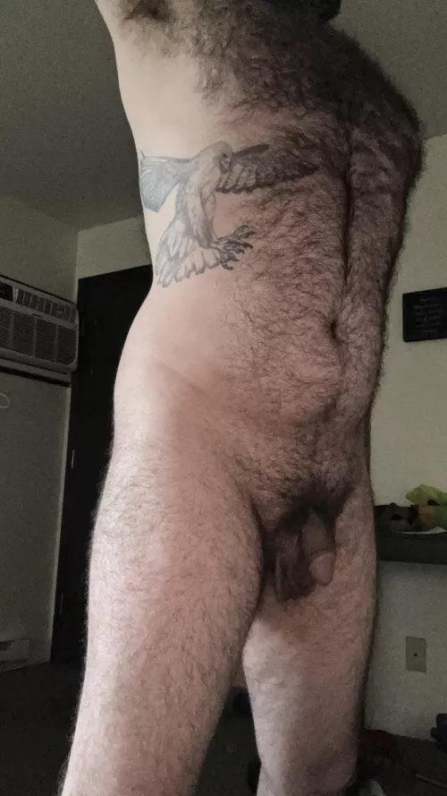 Soft and furry. by Sloppygrits