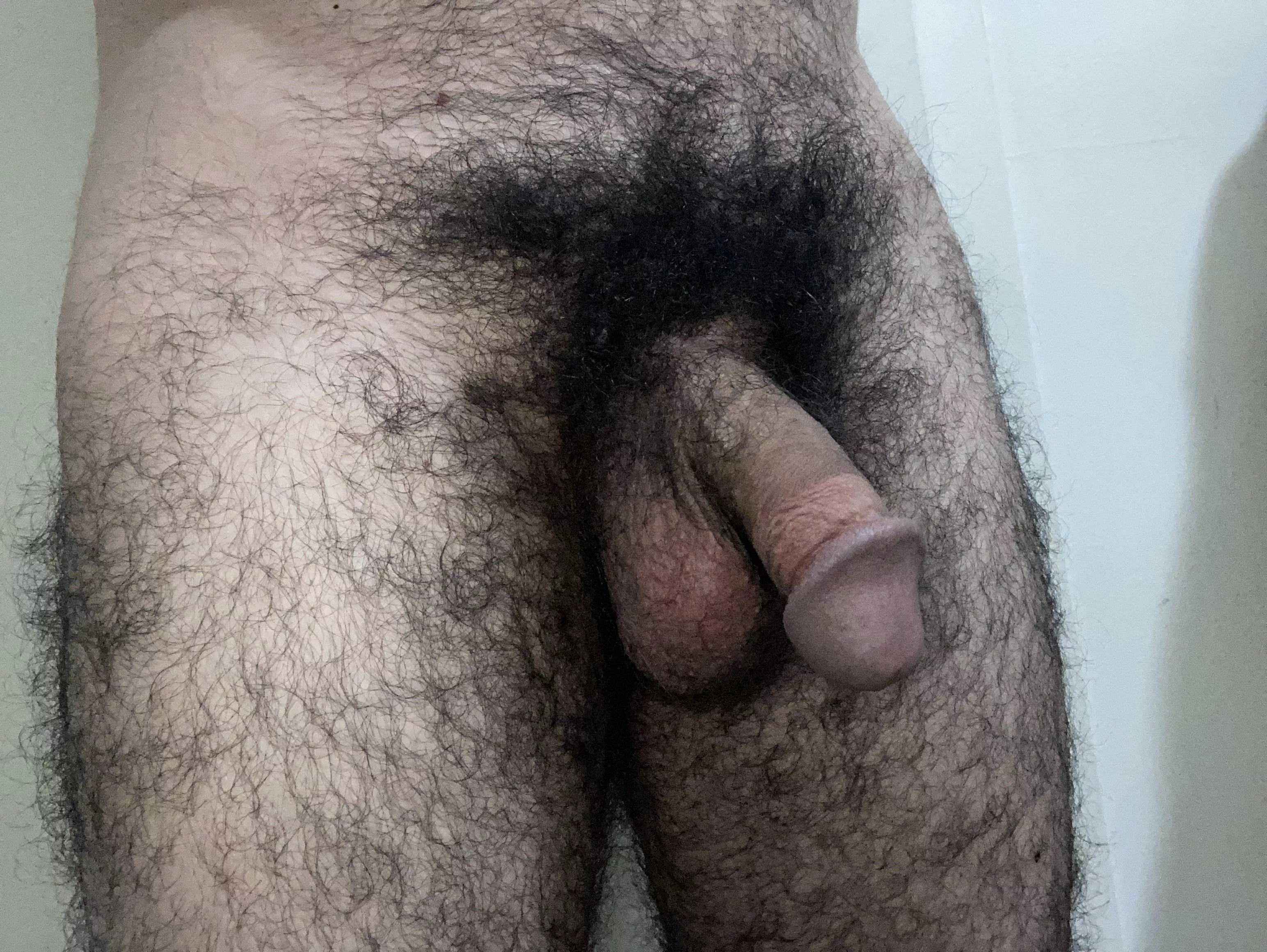 Soft cock pubes  posted by PiercedX