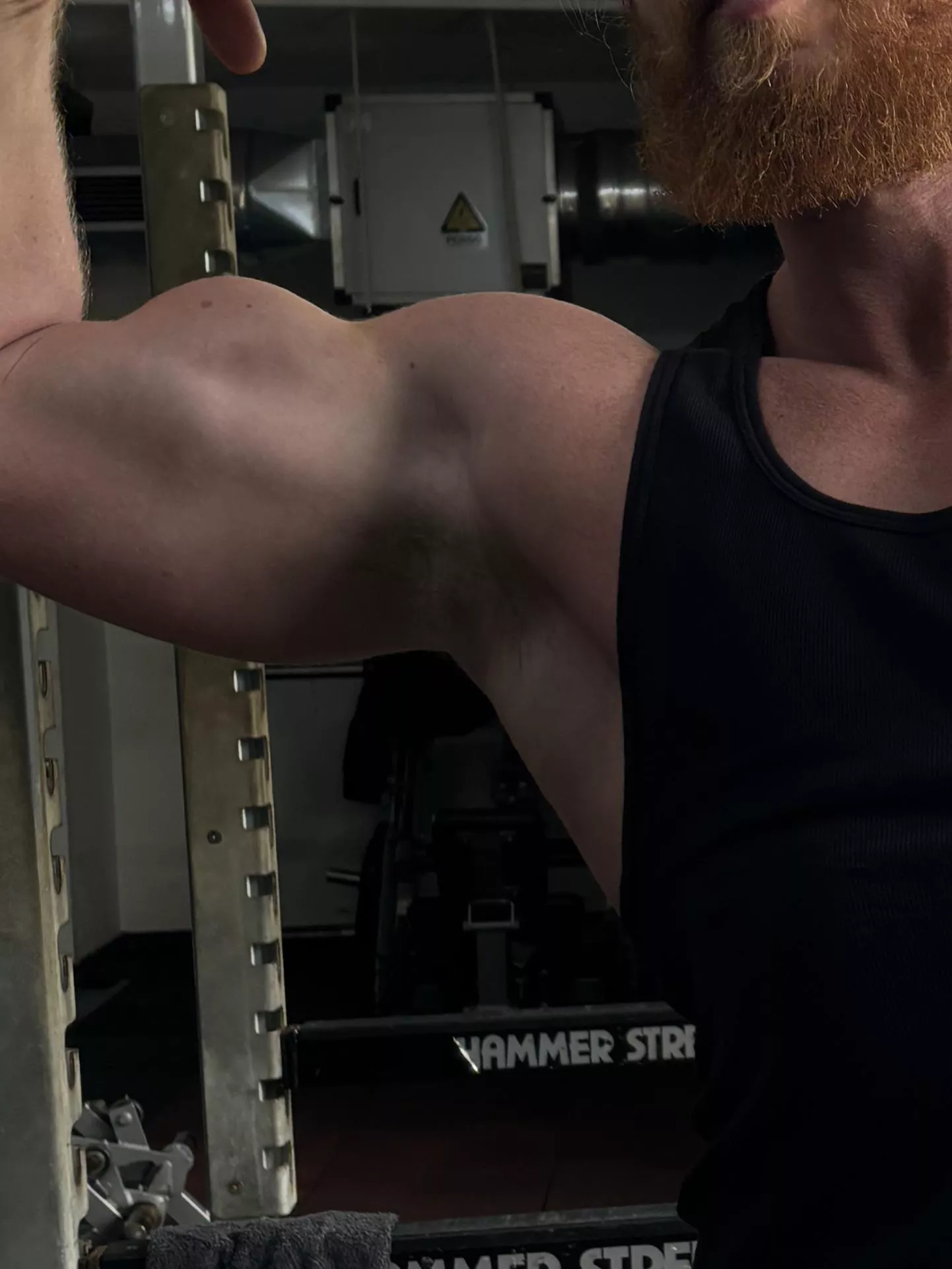 Stinky gym pits posted by Bearded_alpha1