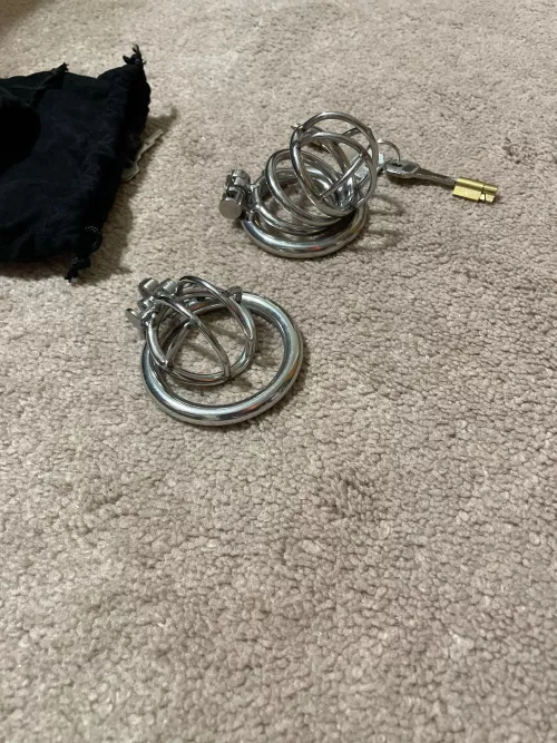 Two new cages. Which one to try out today? by rfur83