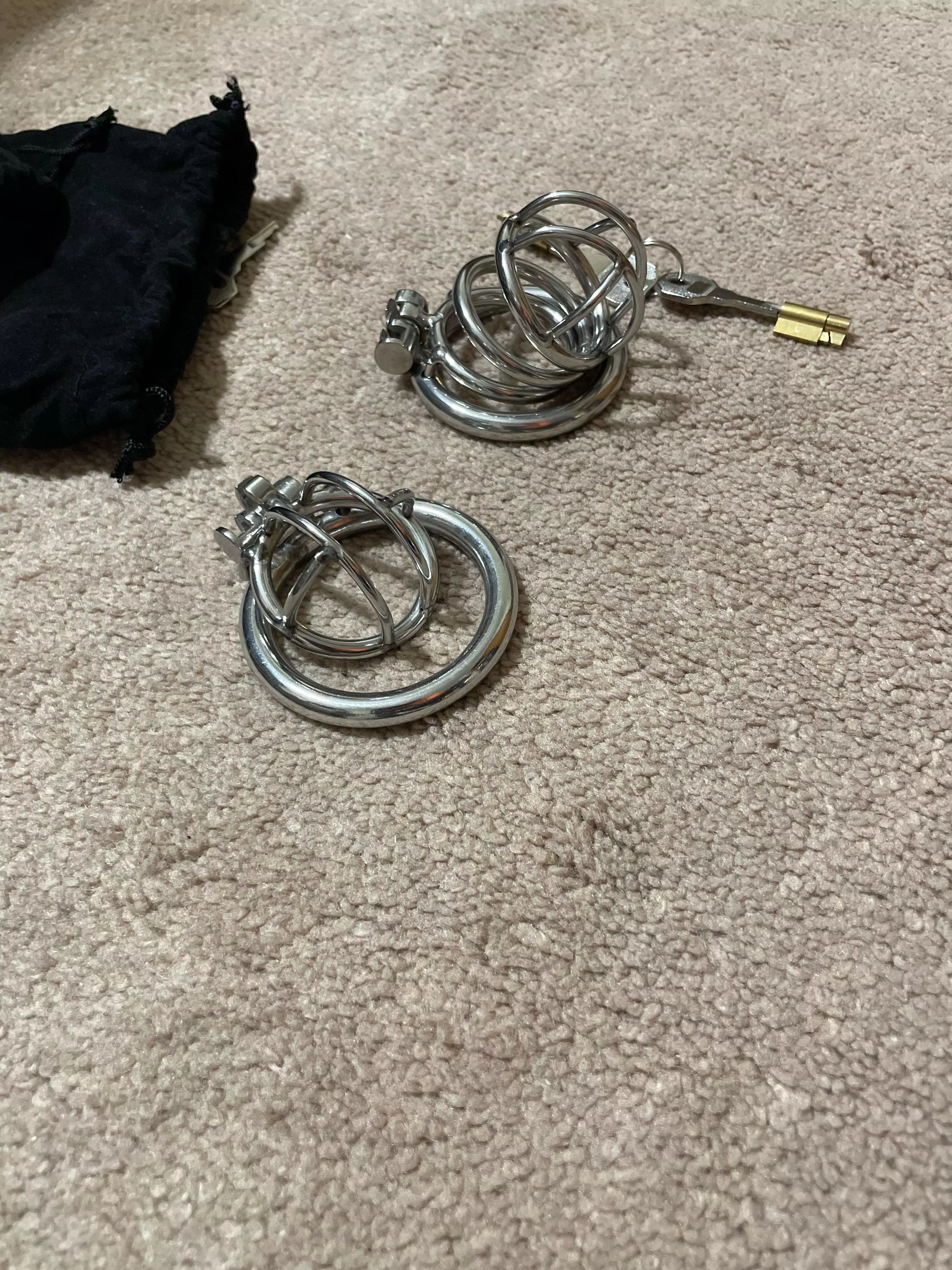 Two new cages. Which one to try out today? posted by rfur83