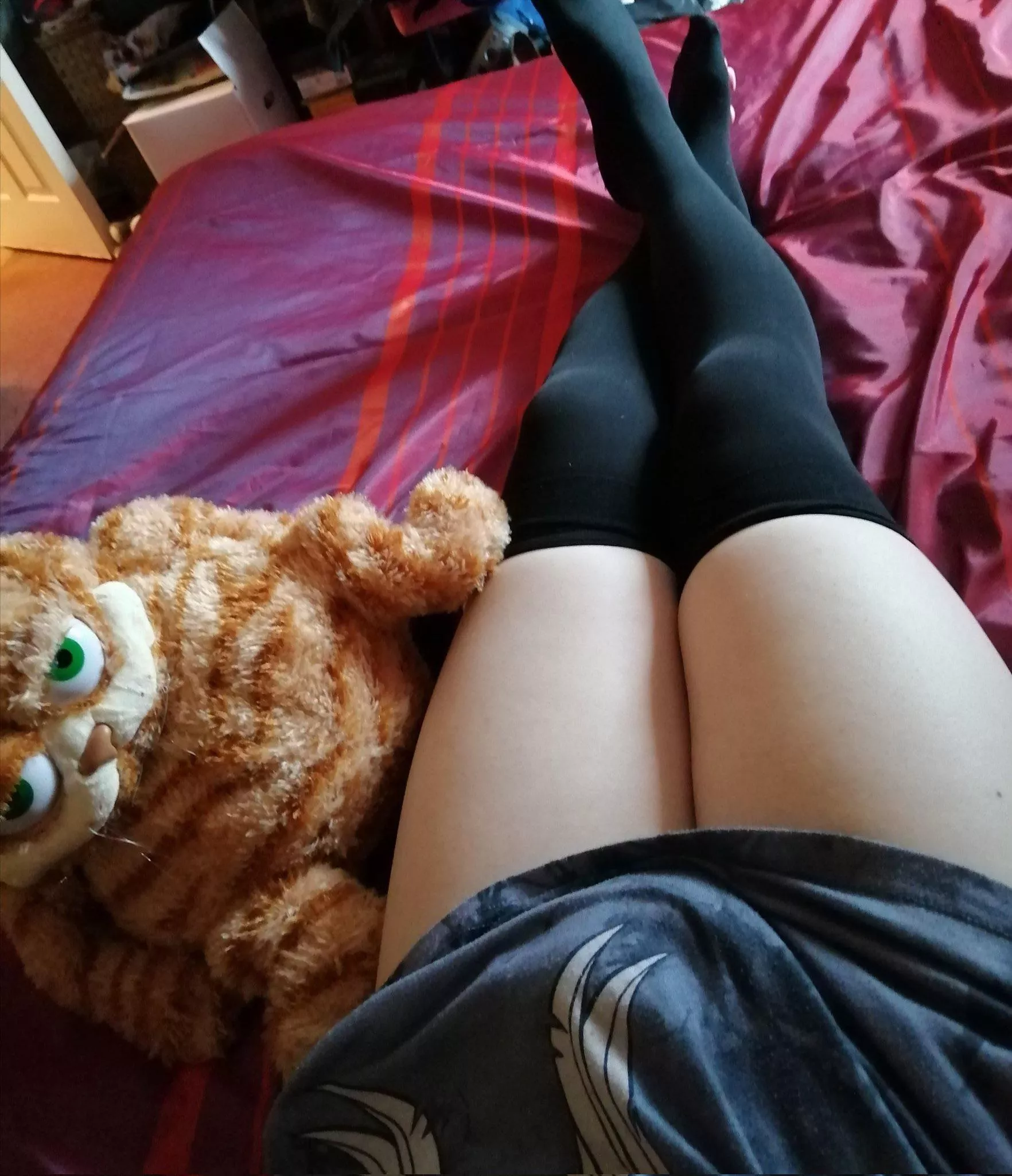 2 cats :3 posted by General-Writing-7167