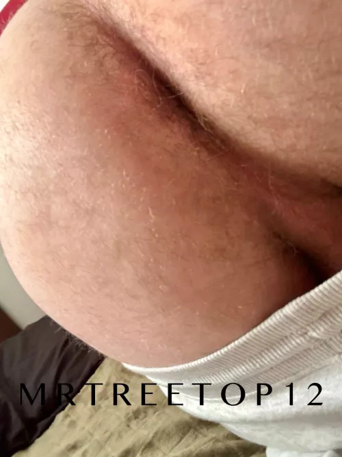 (30) Help me out? by Mrtreetop12