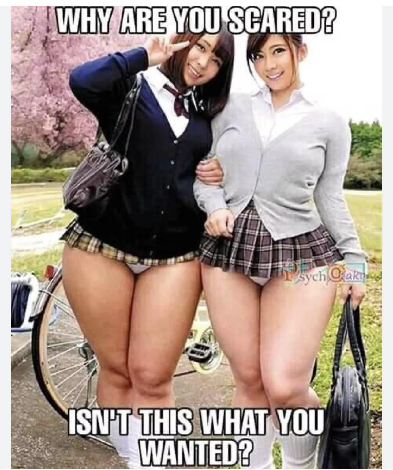 Anyone know the vid where they from ? I dont remember the videos name. posted by asce-_