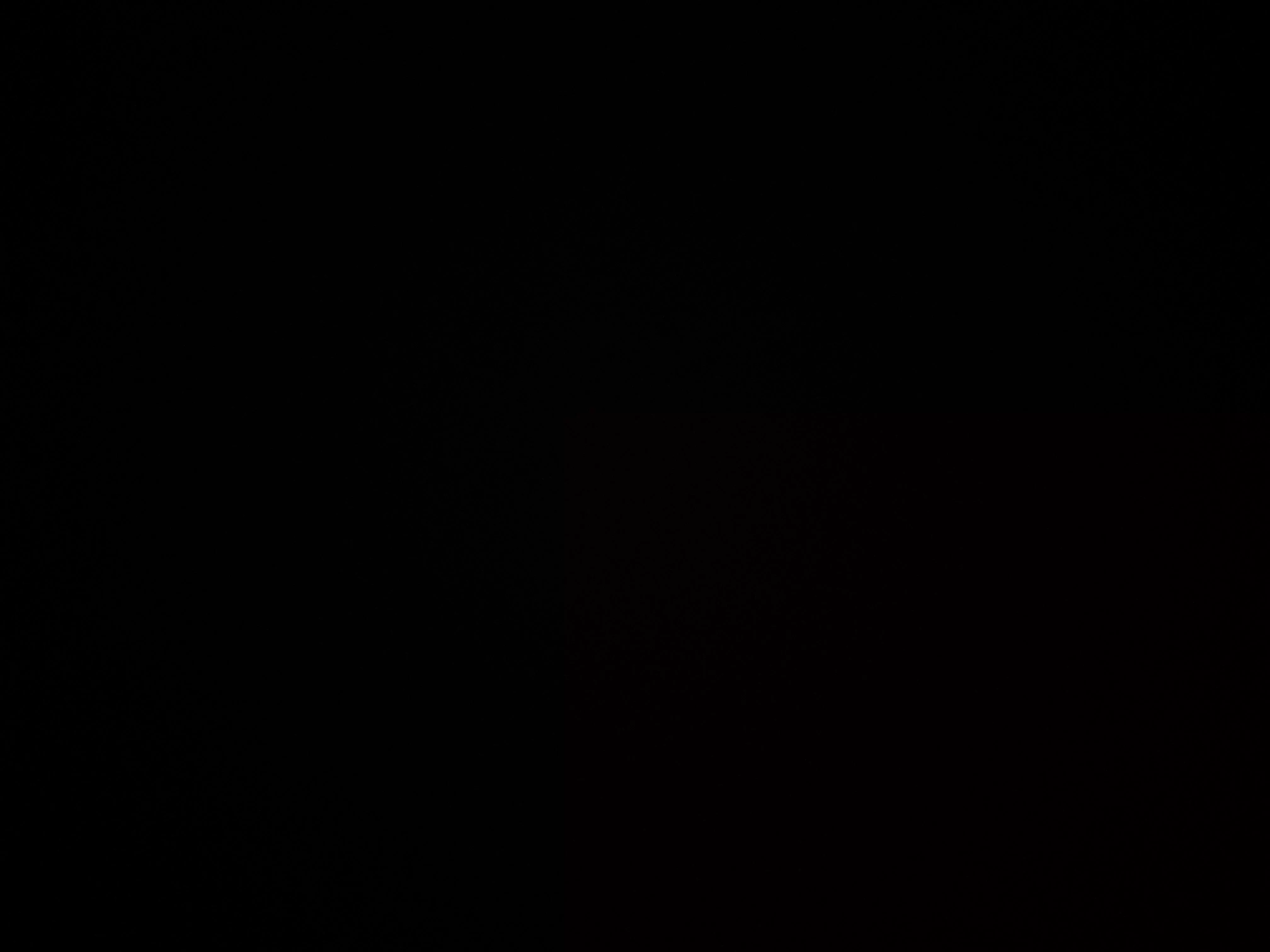 Dm me if we can meet up and talk and maybe be my bf I would be your little cumdump posted by Green-Finance86