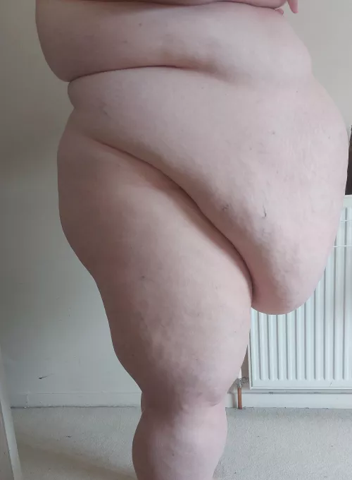 Do I look thick and juicy enough for you ?  by brandibellissbbw