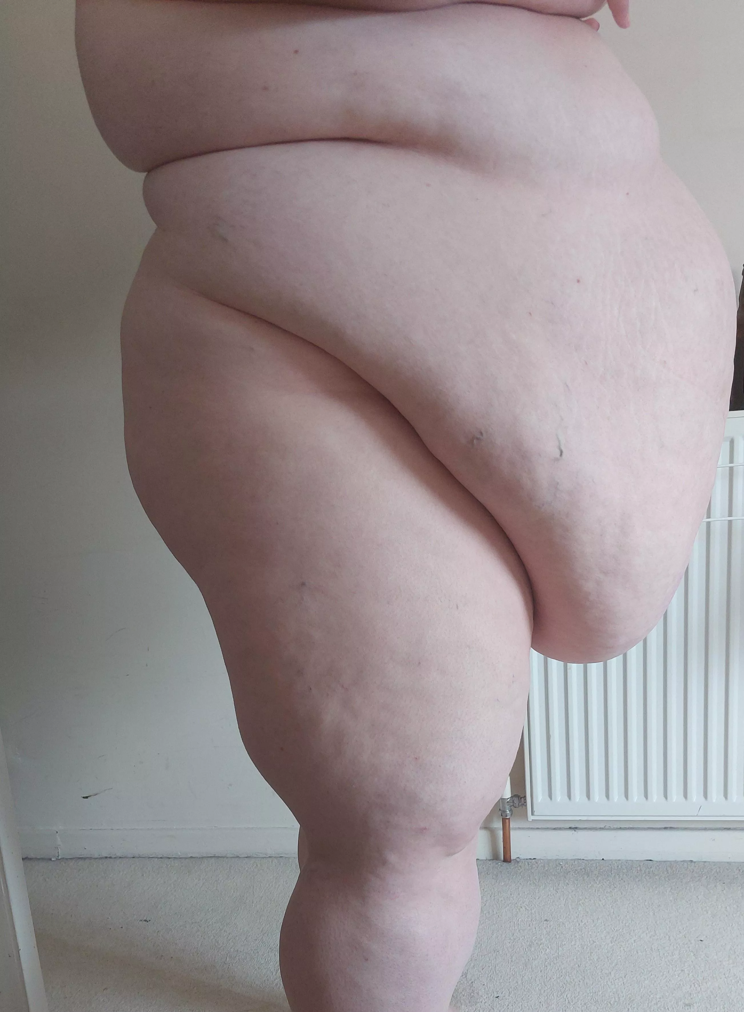 Do I look thick and juicy enough for you ?  posted by brandibellissbbw