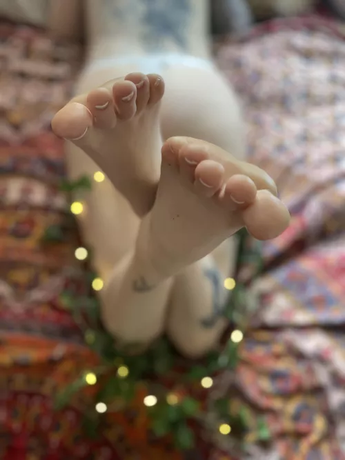 French tips with a view  by Organic-Turnover-731