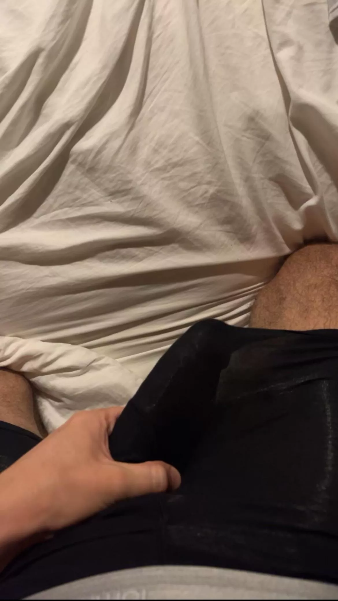 How do they look? posted by sportyladjay