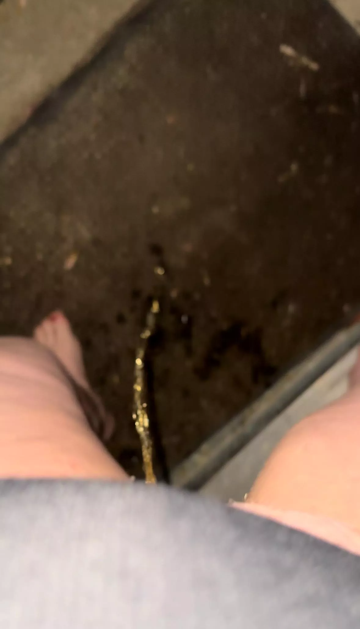 I love to piss out the back door posted by PrincessPisse