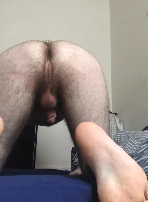 I’m new to taking pics of myself sorry lol by TheHairyStinkHole