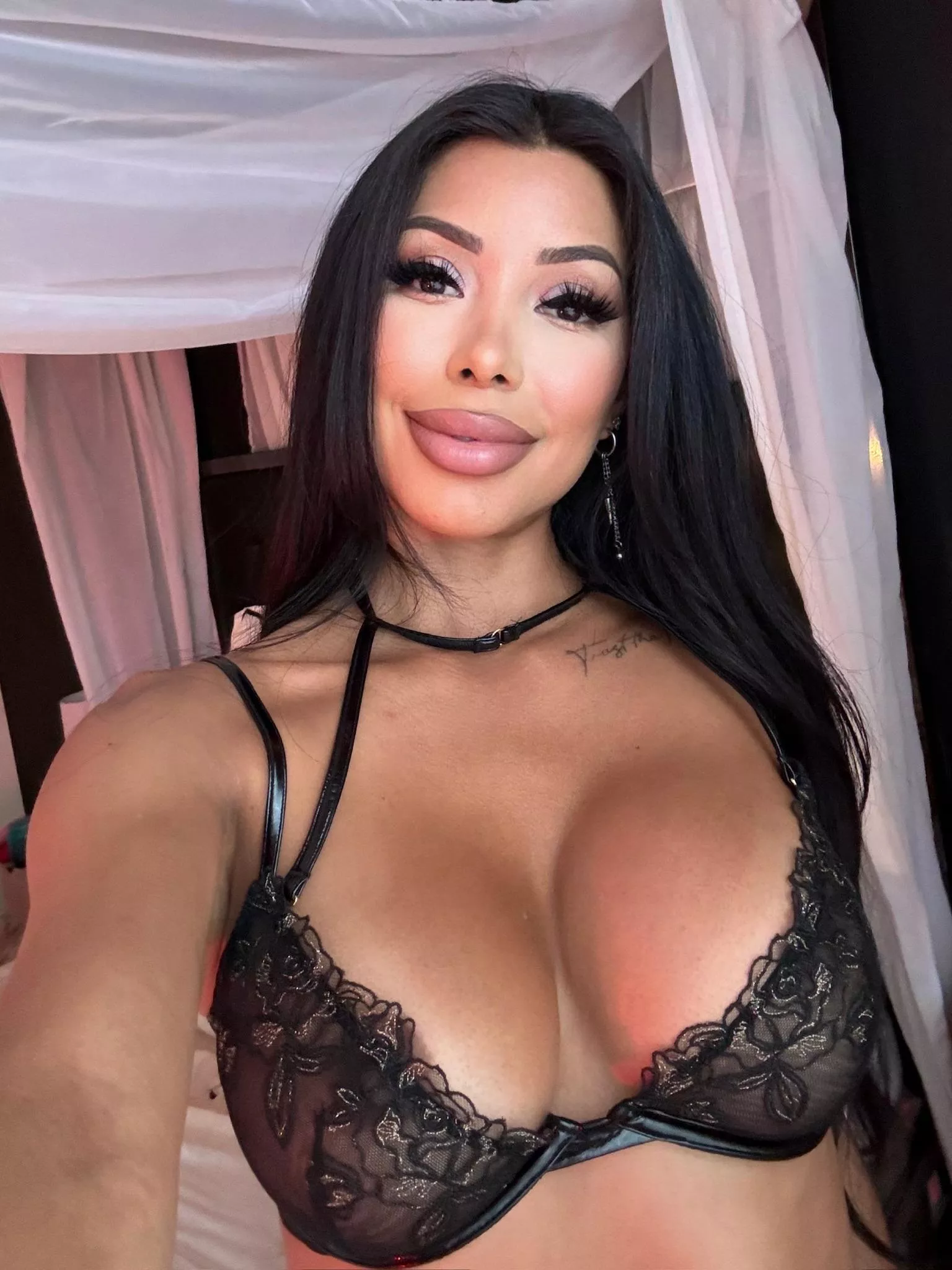 I'm the boss.. posted by bikefence