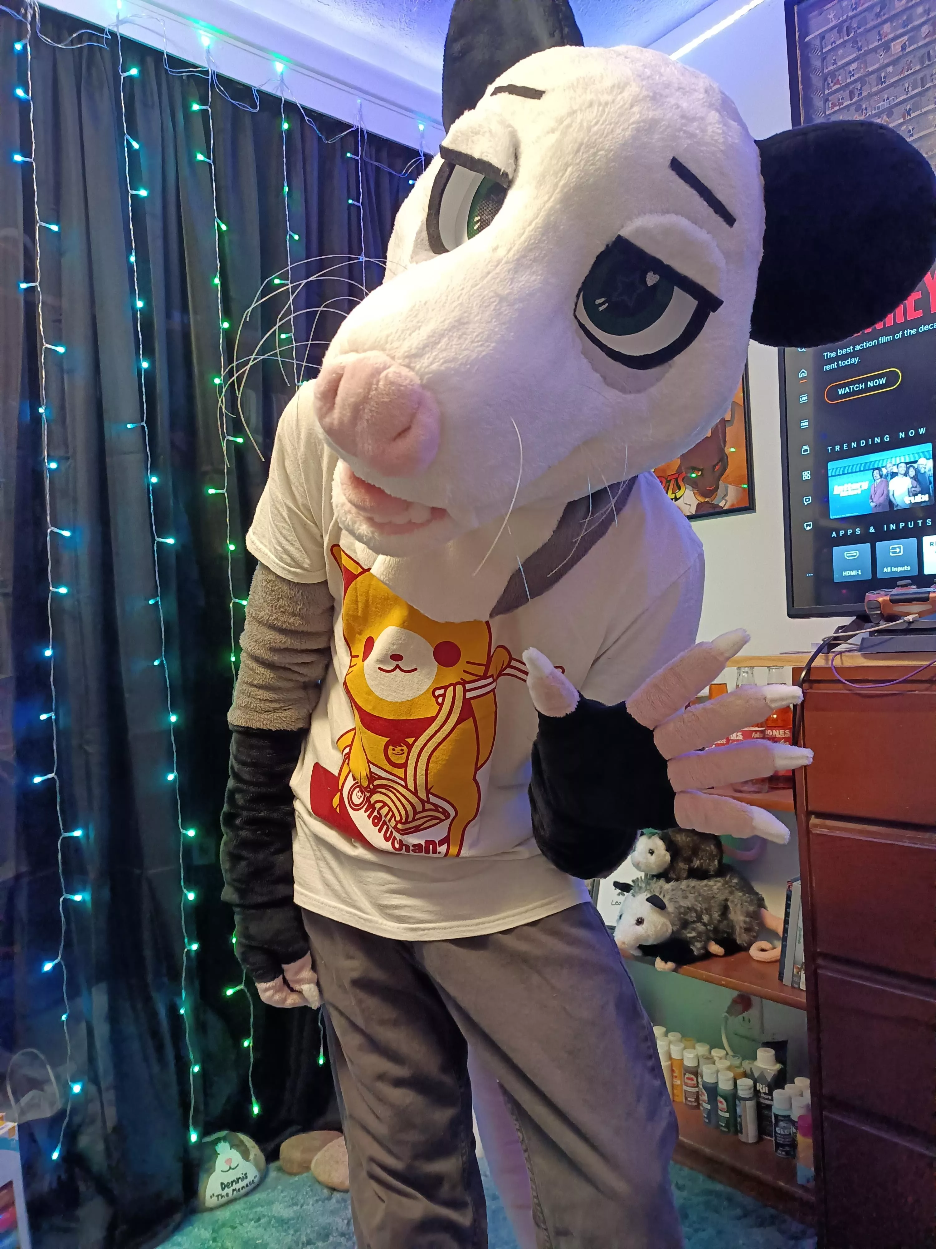 Just a day late for fursuit Friday but I'm finally finished with making my opossum suit!! posted by idkdudejustkillme