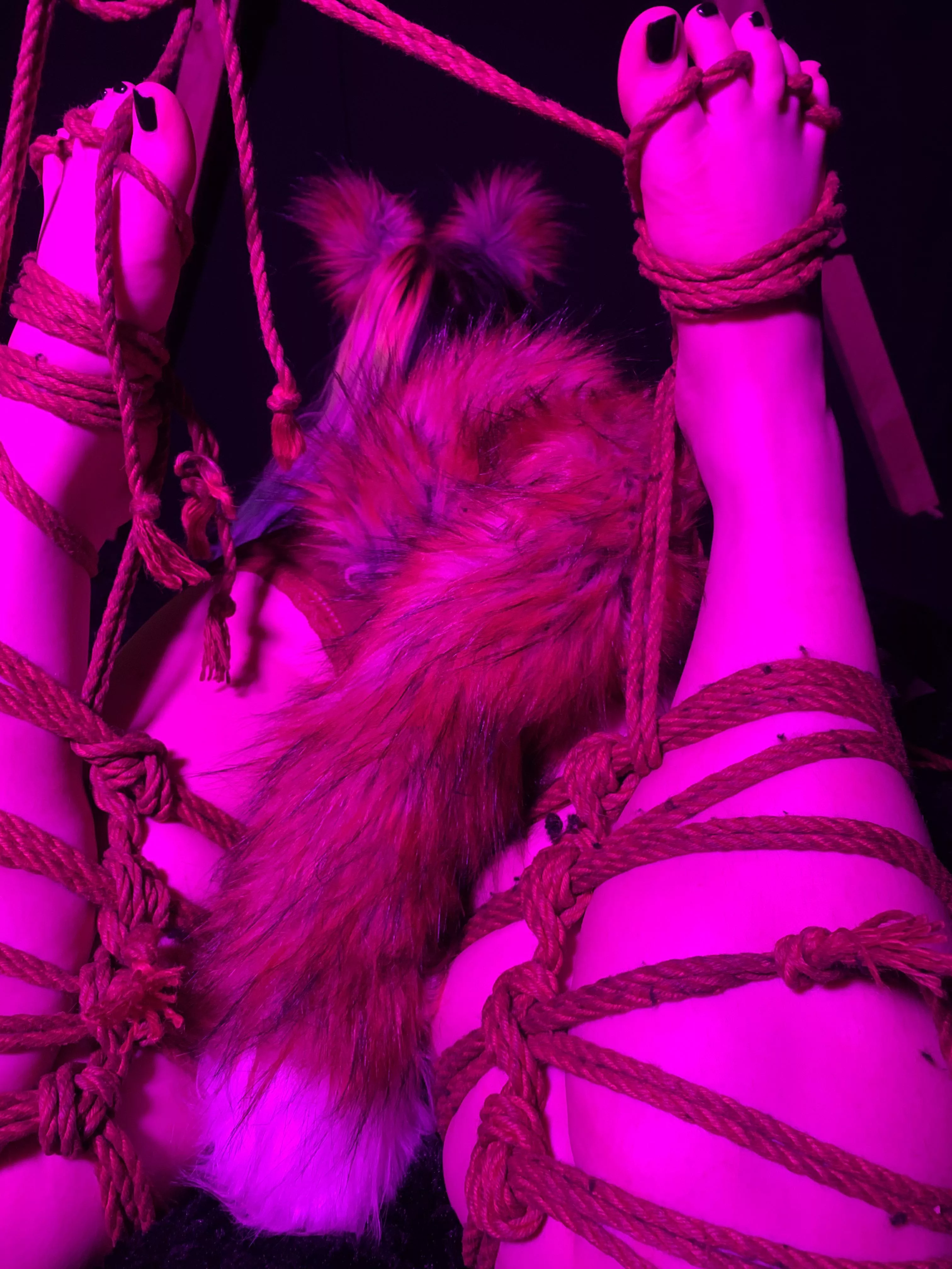 Just a tied up kitty  posted by clussycouple