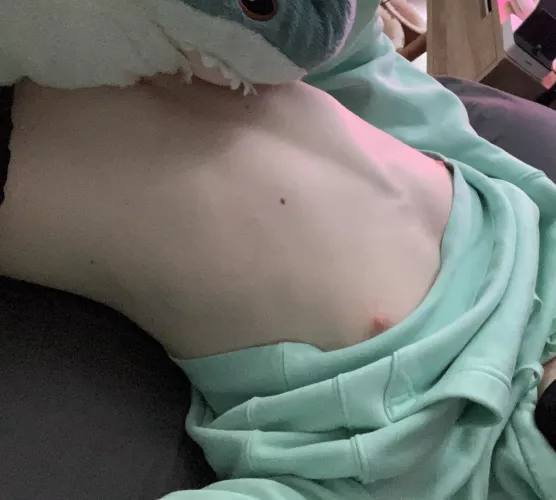 meow :3 by Daylesford123