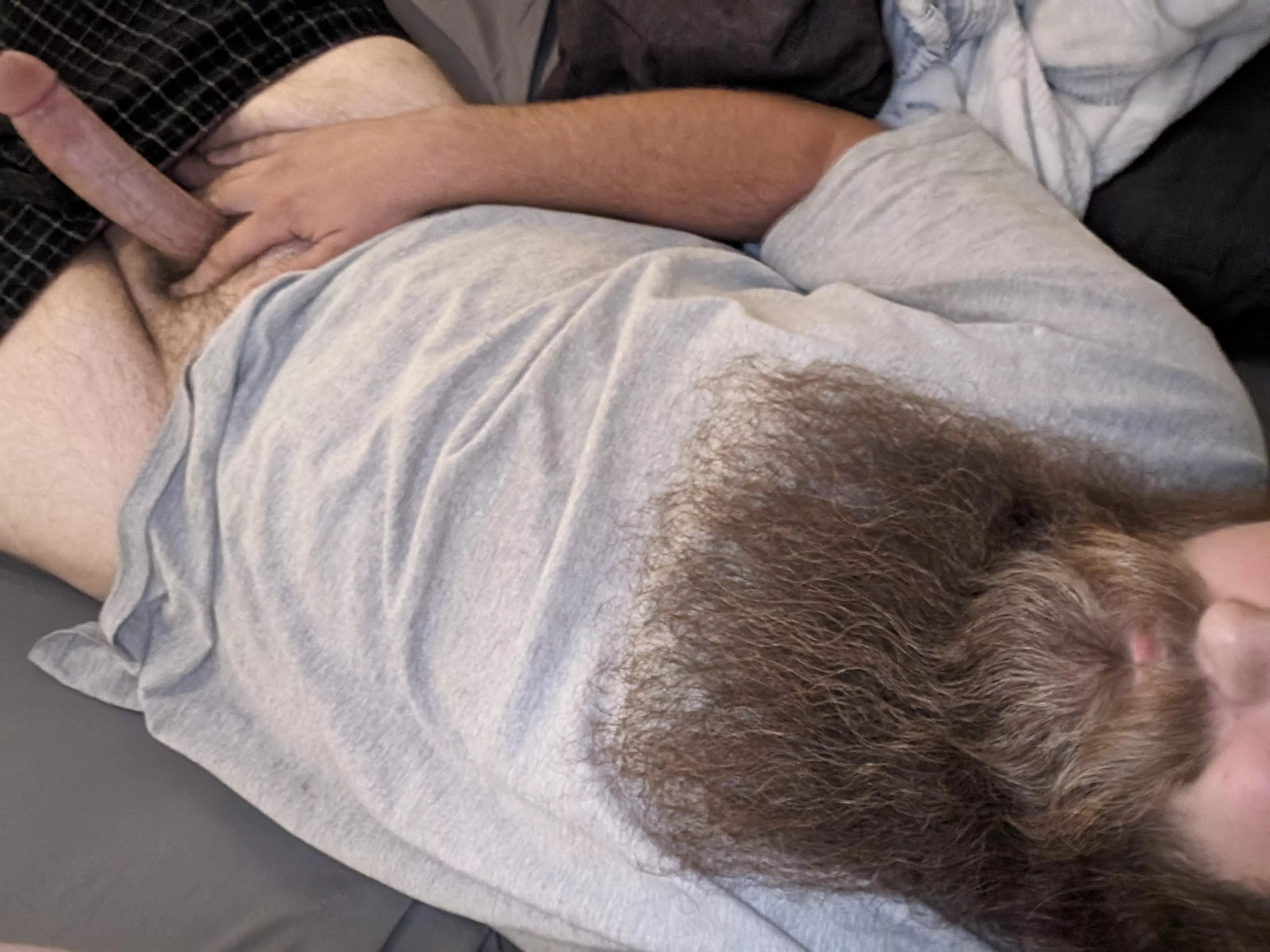 Morning wood is the best wood👀 posted by BeardedErrection