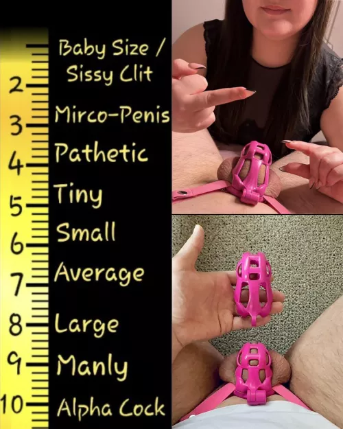 My girlfriend said I'm pathetic for not even filling out my 4.25 inch cage... So she got me this new 3 inch one for my 'micro penis'. After asking her why she called my dick a micro penis, she showed me this chart... by ChasteServant