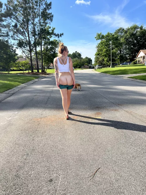 Walk in the neighborhood to show all the neighbors what they are missing by Midnight-Millie