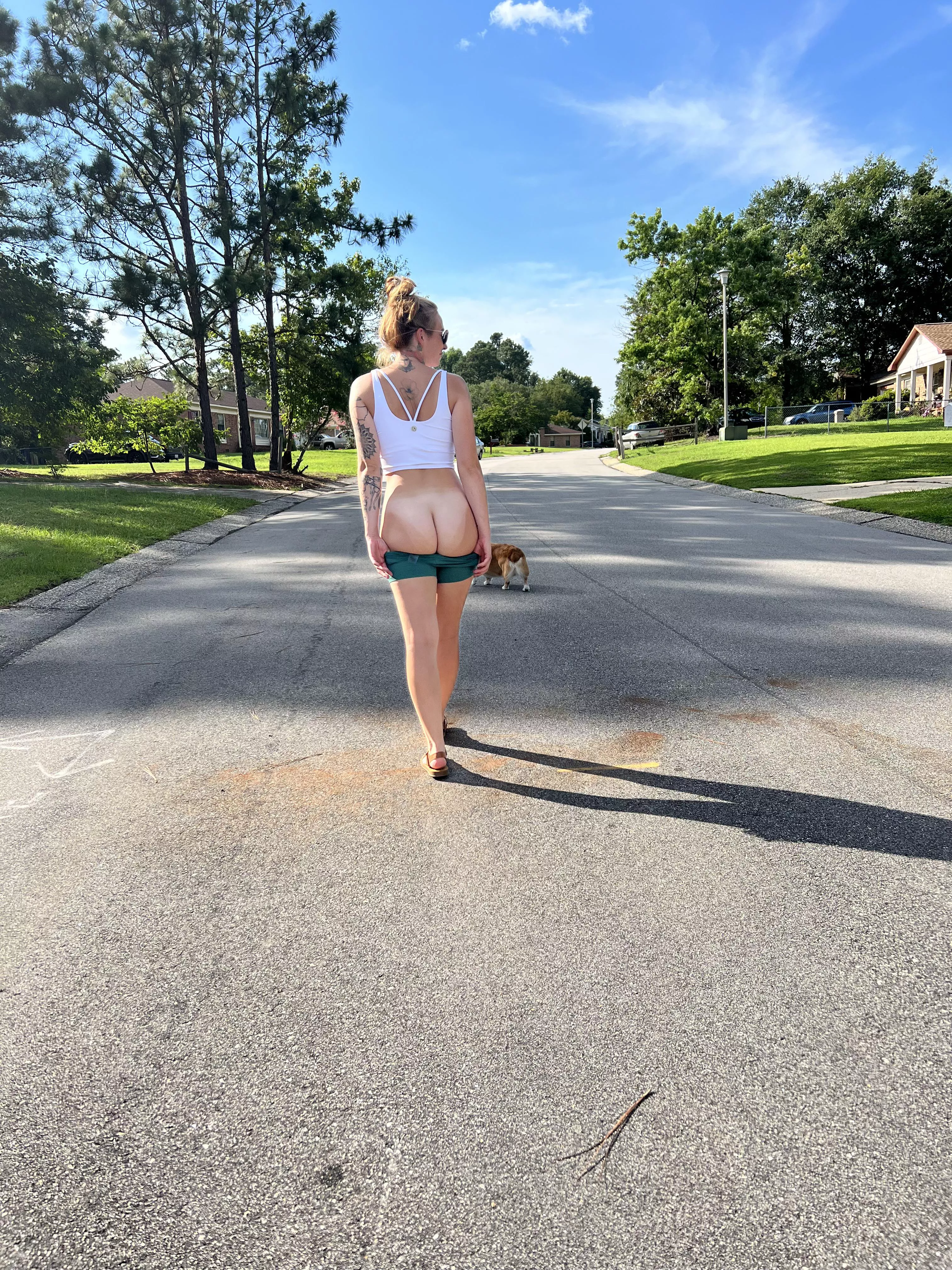 Walk in the neighborhood to show all the neighbors what they are missing posted by Midnight-Millie