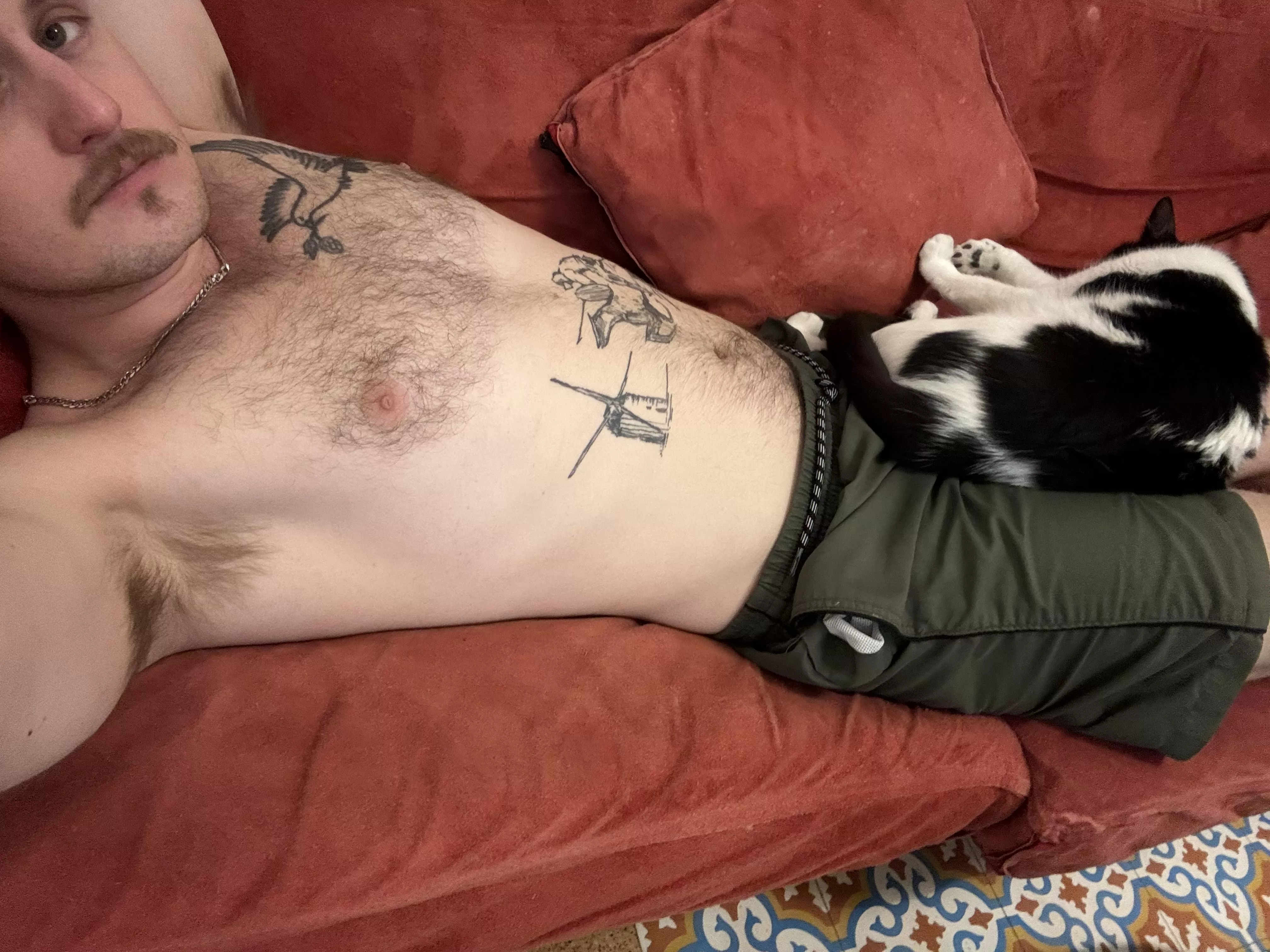 What would you pet first? posted by HaKochav