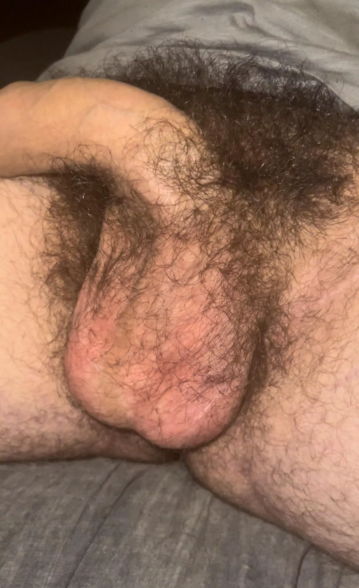 You like my big hairy soft cock?😏🍆Dms open😈 posted by HungYoungAlpha-