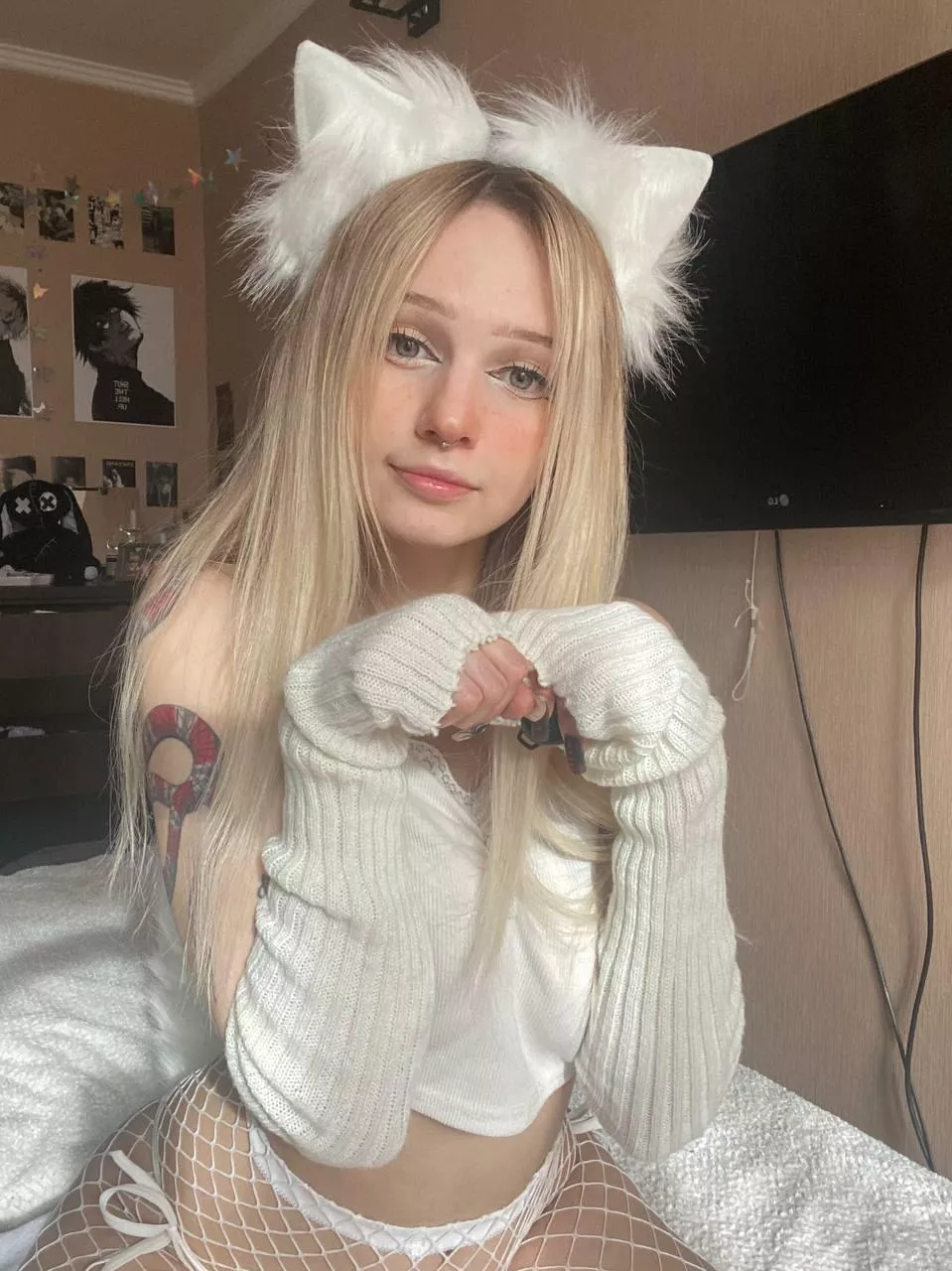 Your kitten wants you to train her posted by GreyShelter